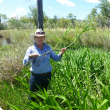 Department of Agriculture and Food biosecurity officer Tracey Vinnicombe with olive hymenachne, which was recently detected and treated in the East Kimberley.