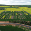 Aerial view of cropping trial in paddock