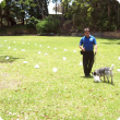Detector dog trainer and instructor Wayne Grewar