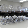 Wine sensory testing