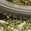 Caltrop under the wheel of a bike