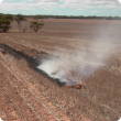 Burning stubble