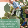 Opuntiod cactus best practice manual