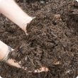 The application of compost is described in detail in Managing Soil Organic Matter: A Practical Guide