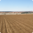 A field that has been ripped via rotary hoe for pre potato planting