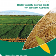 The 2016 Barley variety sowing guide for Western Australia is now available to help growers select the most suitable variety for their environment and cropping system.