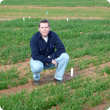 DAFWA senior research officer Dr Michael Francki is leading research to identify the combination of genes that will increase resistance to the significant wheat fungal disease SNB.