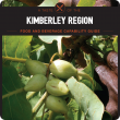 The Kimberley Food and Beverage Capability Guide will connect buyers and consumers across the region.