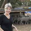 Animal Welfare director Sarah Kahn is looking forward to leading reform and developing the State’s reputation as an animal welfare regulator of excellence.