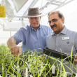 DAFWA senior research officer Mario D’Antuono (left) and Dr Darshan Sharma have developed a new online tool, MyPaddock, for grain growers to address wheat production problems.