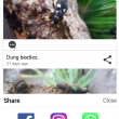 Pest reports sent to the Department of Agriculture and Food via the MyPestGuide Reporter app can now be shared to users’ social media platforms, increasing community awareness of biosecurity threats.