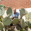 Wheel cactus is one of the weeds being targeted under the new weed surveillance program. Department of Agriculture and Food biosecurity officer Glen Coupar removes the declared cactus at a home in Kensington.