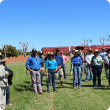 There was a big turnout to hear about the irrigated pasture and fodder updated provided at the Skuthorpe industry field walk in Broome.