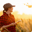 woman_drone_wheat crop